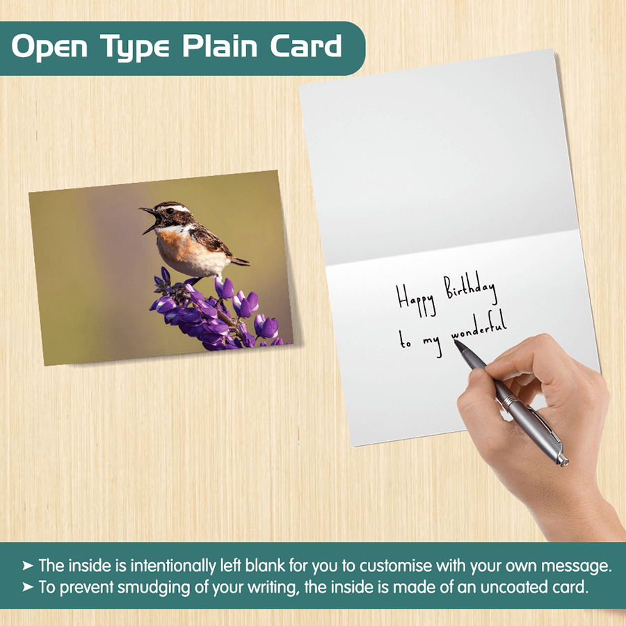 Eco-Friendly British Wildlife Greeting Cards