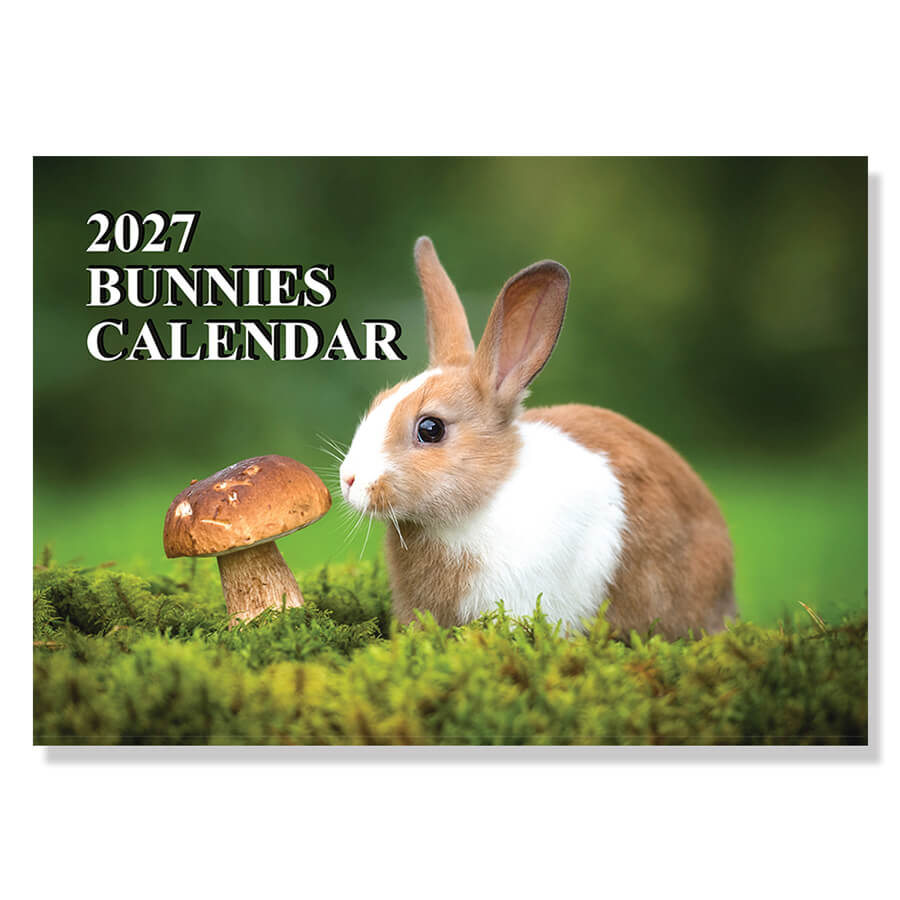 Bunny Calendar 2027 – 12-Month - Wall Planner - A3