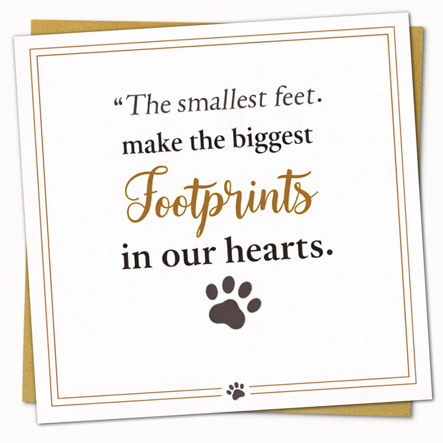 pet bereavement card