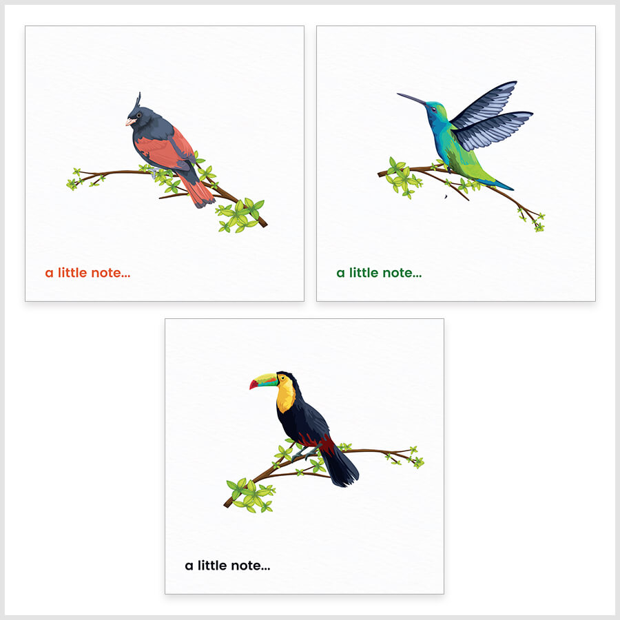 Exquisite Birds-Themed Note Cards with Envelopes
