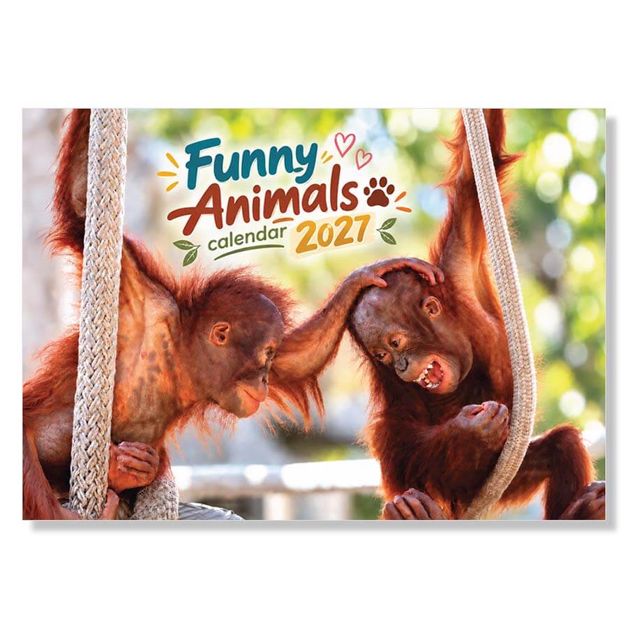 Funny animals calendar 2027