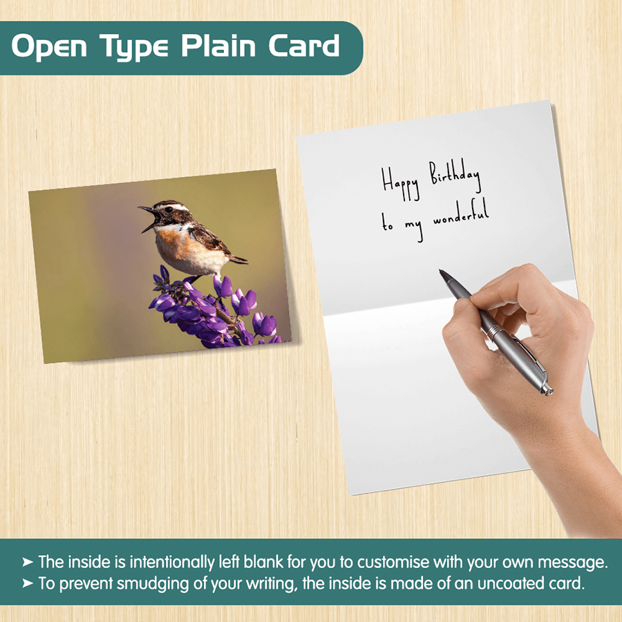 Eco-Friendly British Wildlife Greeting Cards