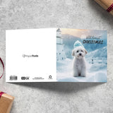Eco-friendly Christmas cards featuring dogs