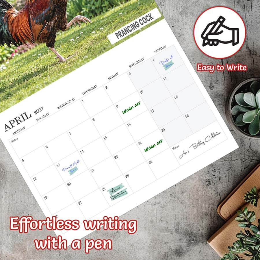 Big Cocks 2027 Calendar – Fun Adult Gift