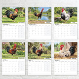 12 Month Big Cocks Calendar 2027 – UK Edition