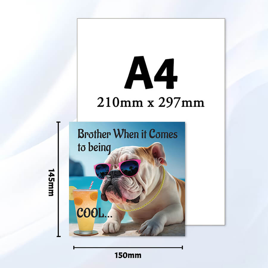 Stay Cool Bro With Funny Greeting Card