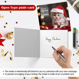 Cat Lovers Christmas Cards
