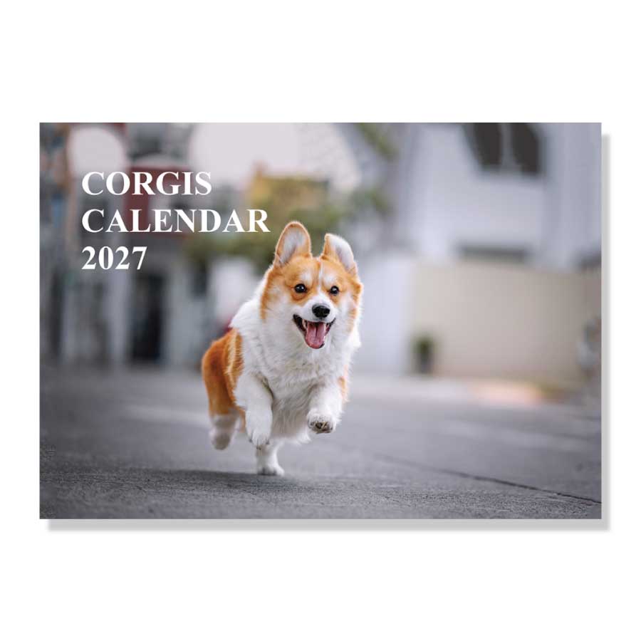 Corgi dog wall calendar 2027