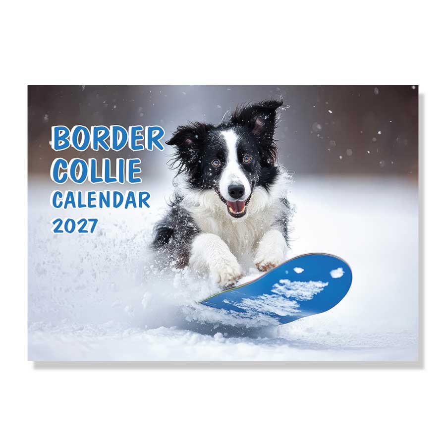 Border Collie wall calendar 2027 with cute dog photos