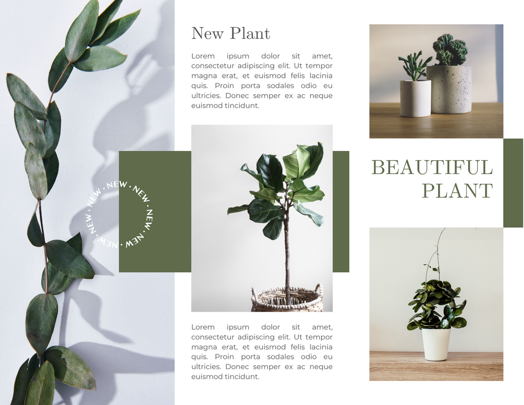 ranjani testing canva