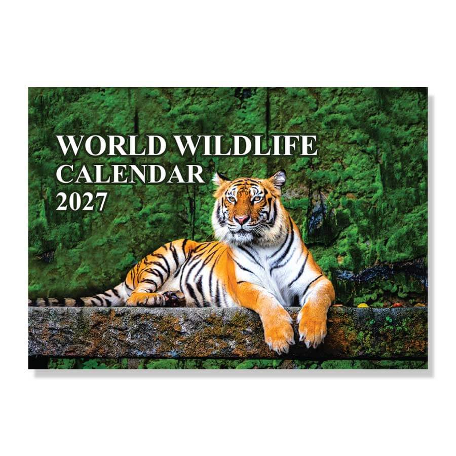 2027 calendar