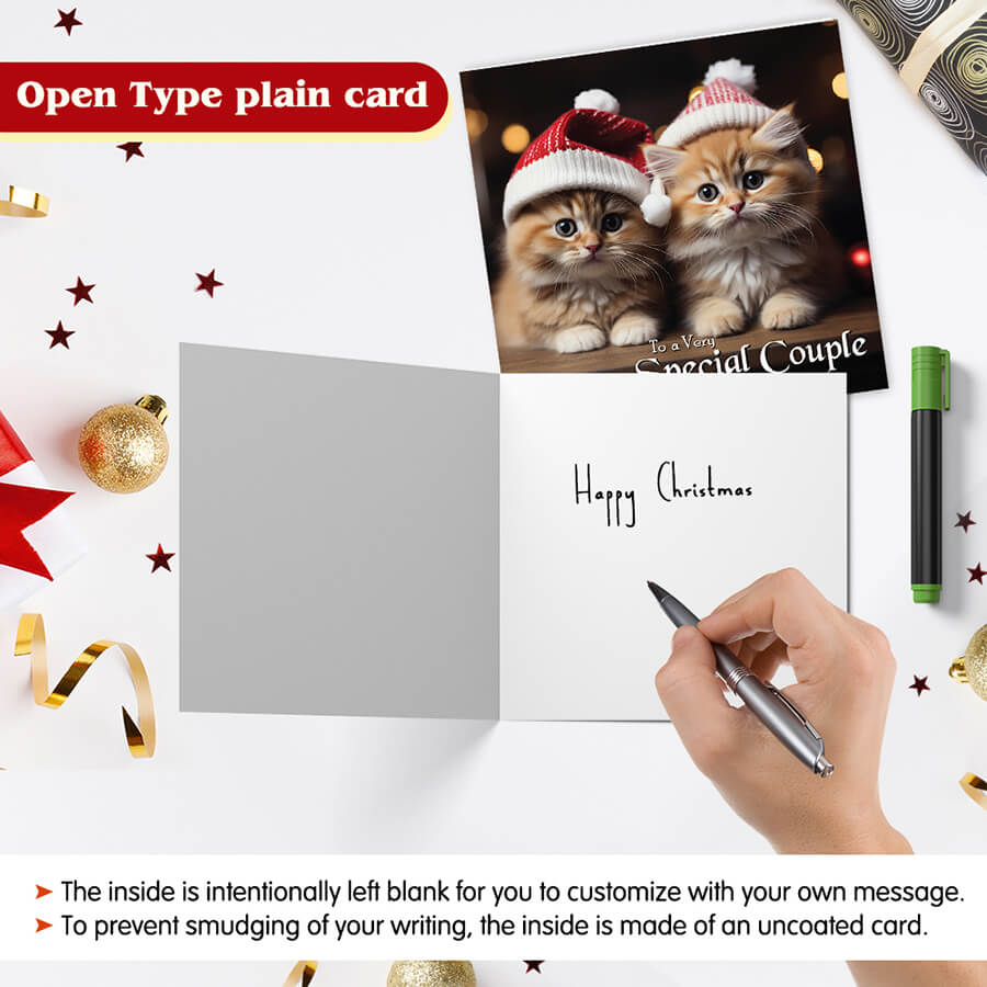 Cat-themed couple Christmas card
