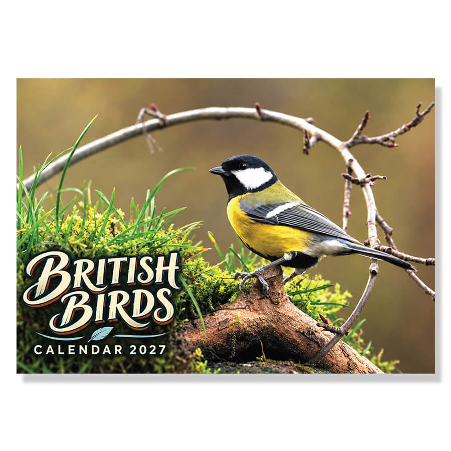 British Bird Calendar 2027 12 Month A3 Wall Calendar