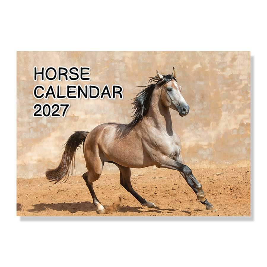 Horse 2027 wall calendar UK 
