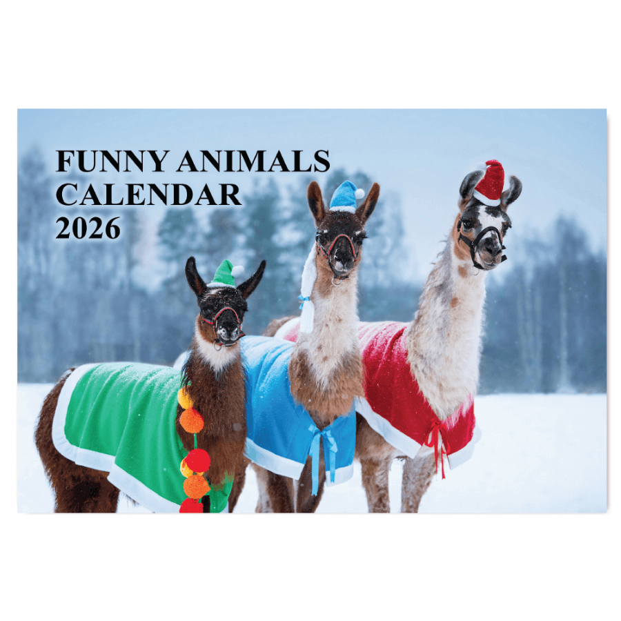 Funny Animal Calendar 2026 A3 Wall Calendar UK with Bank Holidays