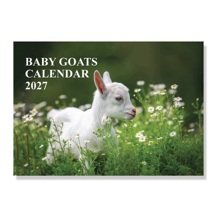 Baby Goat Wall Calendar 2027