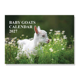 Baby Goat Wall Calendar 2027