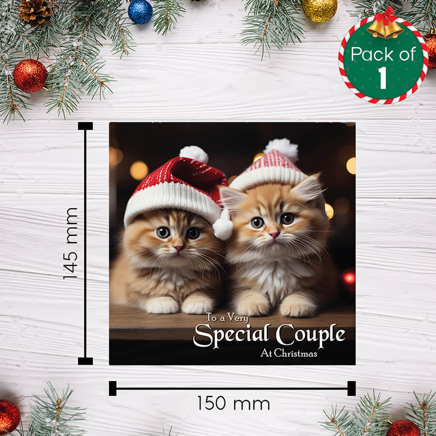 Special couple cat Christmas card