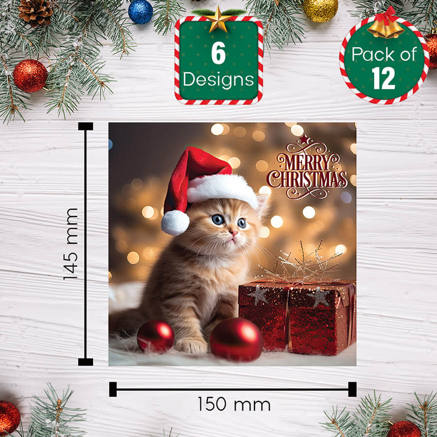 Cute Cat Christmas Greeting