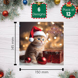 Cute Cat Christmas Greeting