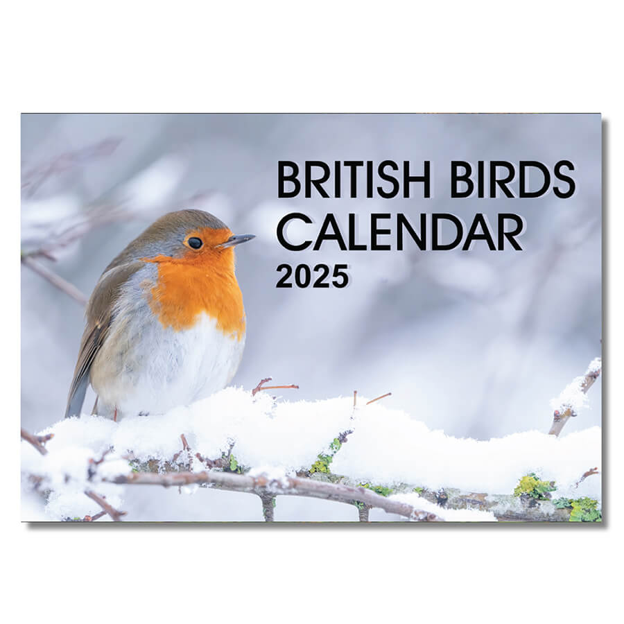 Bird calendar