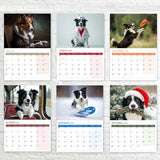 Border Collie wall calendar