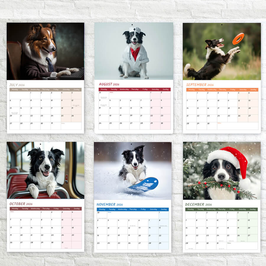 Border Collie wall calendar