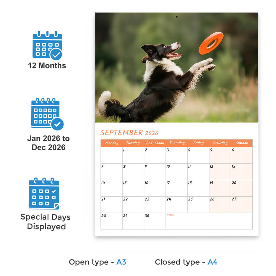 wall calendar 2026