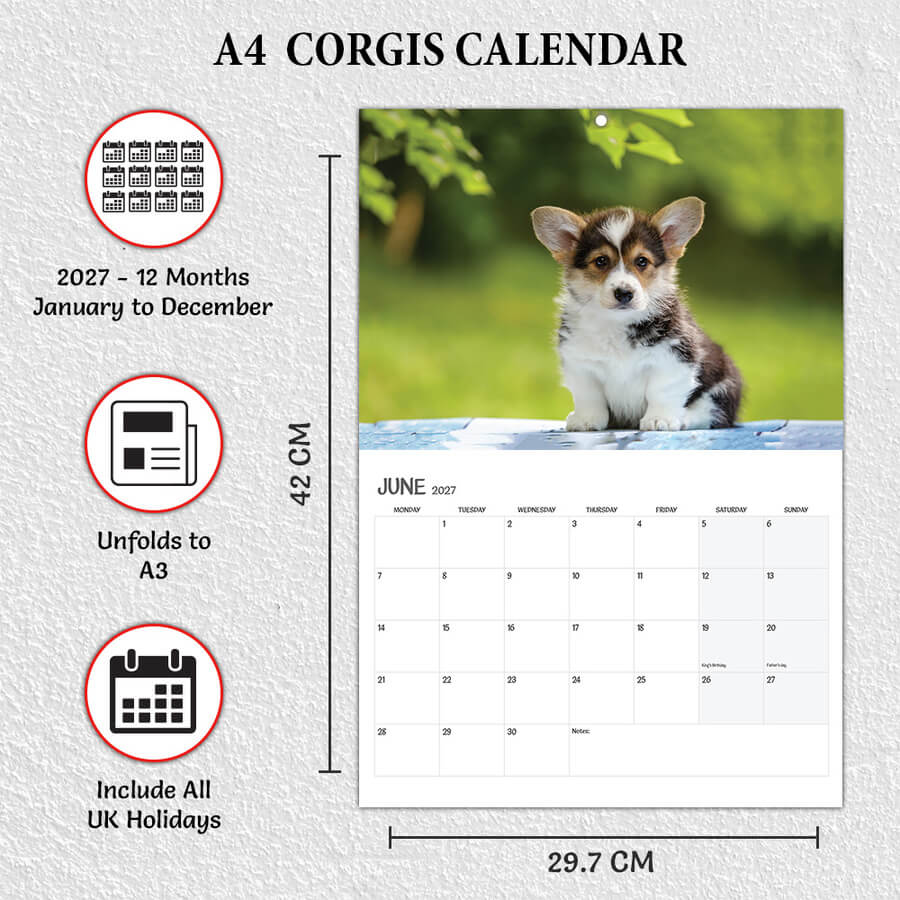 A4 corgis calendar 2027 UK