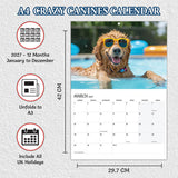 2027 Crazy Canines A3 Calendar with 12 Monthly Pages