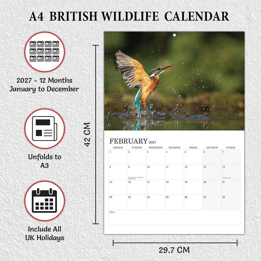 British Wildlife Calendar 2027 featuring UK animals and nature