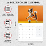 A3 to A4 Border Collie Calendar 2027 UK