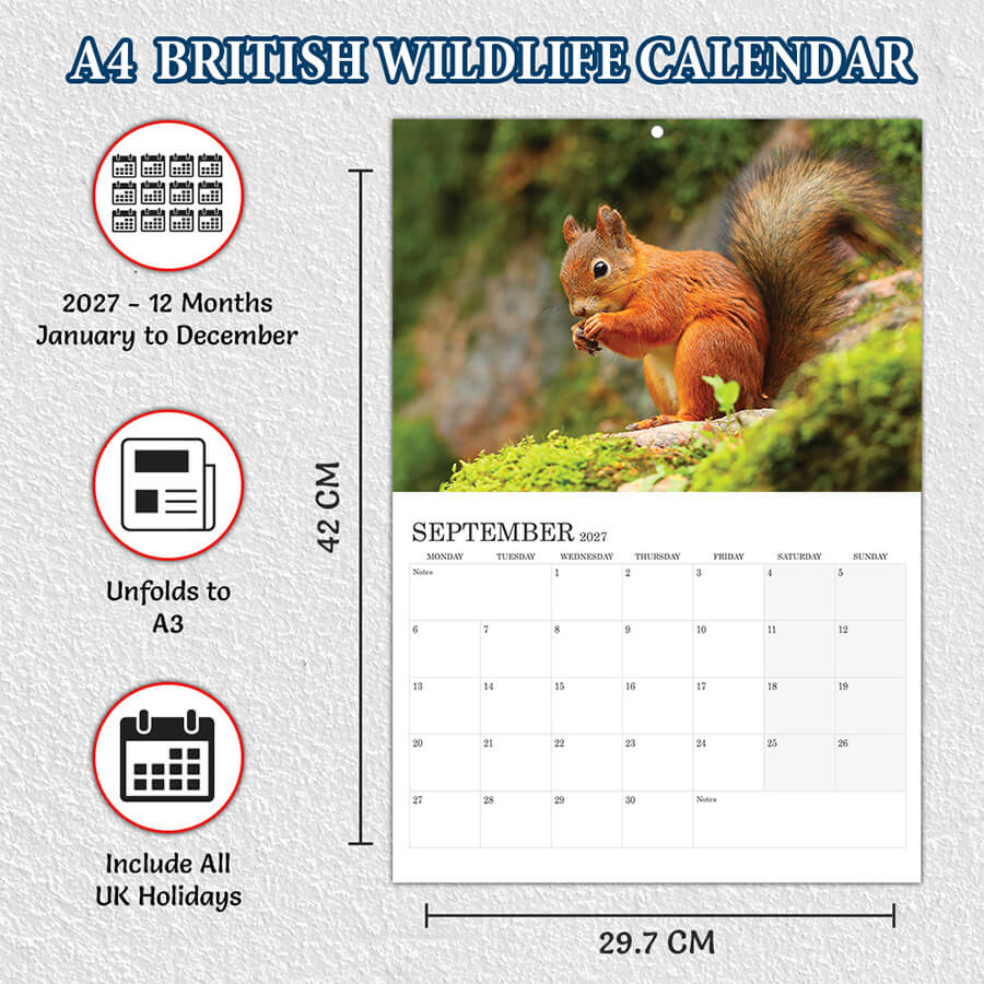 British Wildlife Calendar 2027 A3 12 Month Wall Planner
