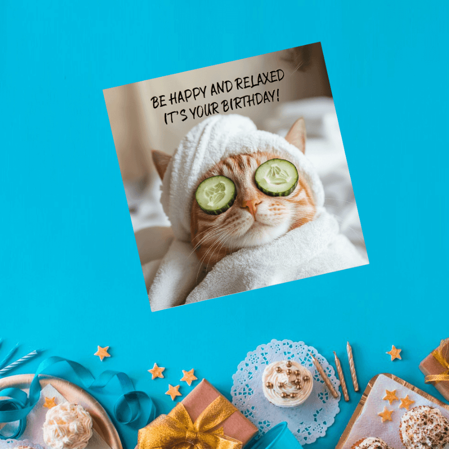 funny cat greeting cards