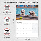 Calendar for dogs