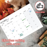 12 Month Kittens Calendar 2027 A3 Size