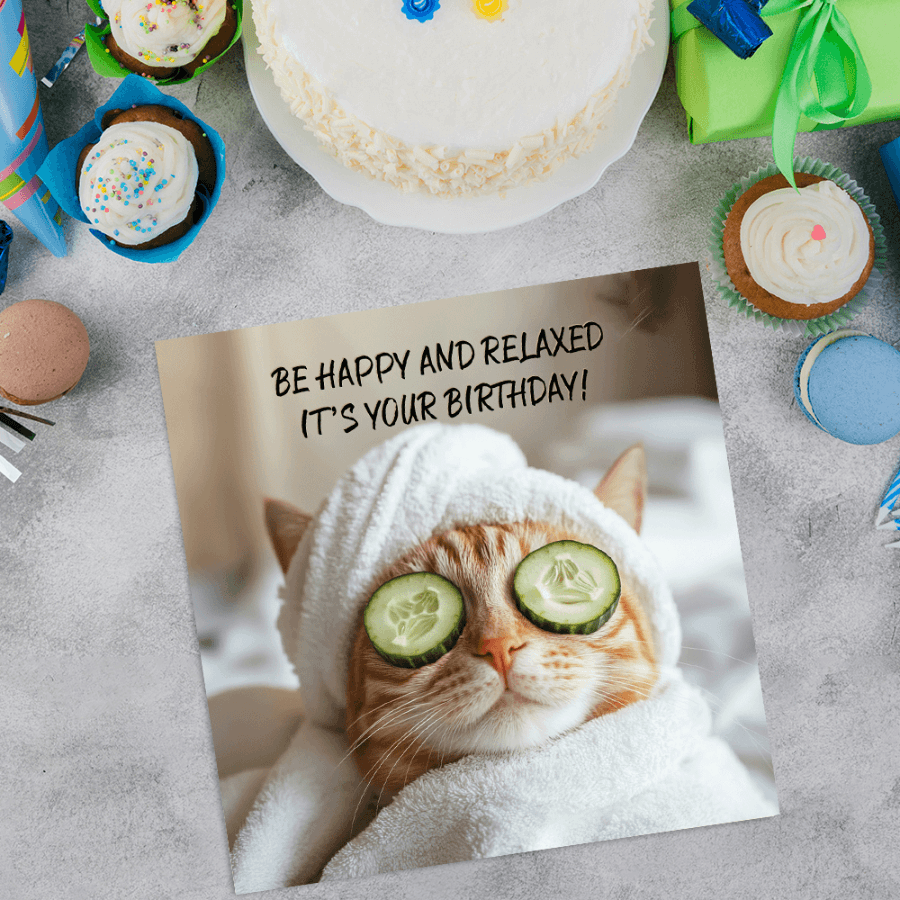 funny cat cards
