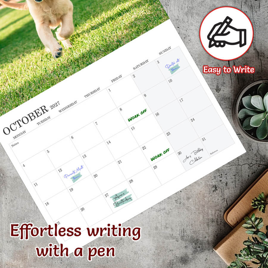 Dog calendars 2027 A3 A4