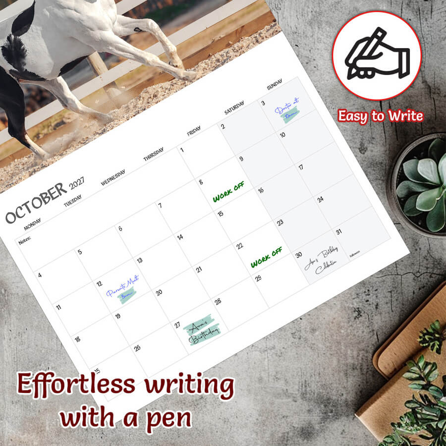 2027 Horse wall calendar