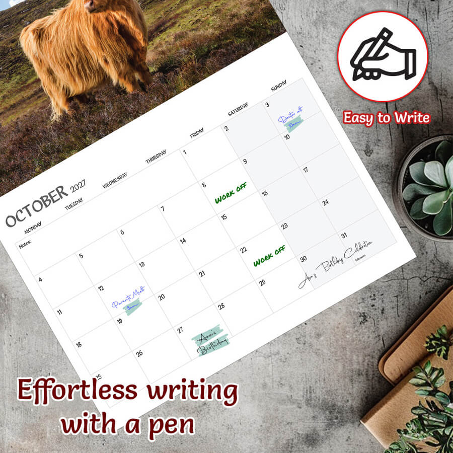 Animal Calendar 