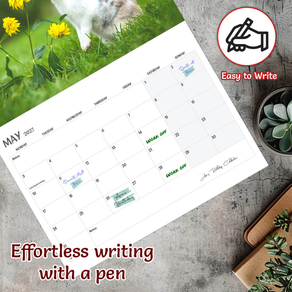 Bunny Calendar 2027 – 12-Month - Wall Planner - A3