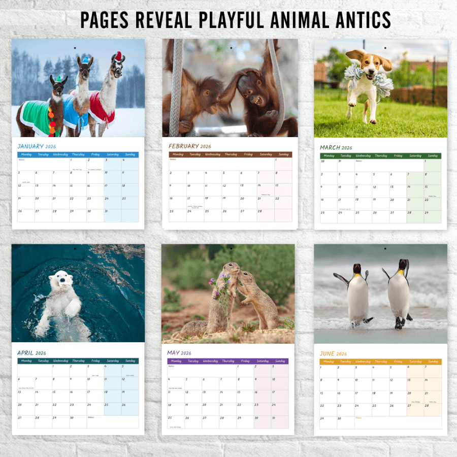 Pre-punched A3 wall calendar 2026 UK easy hanging design