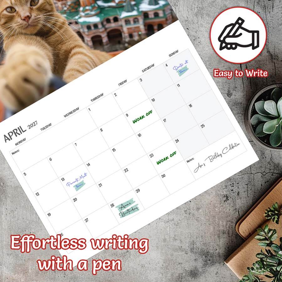 Cat Selfie calendar 2027