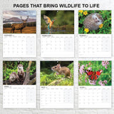 12 month British Wildlife Calendar 2027 for home and office