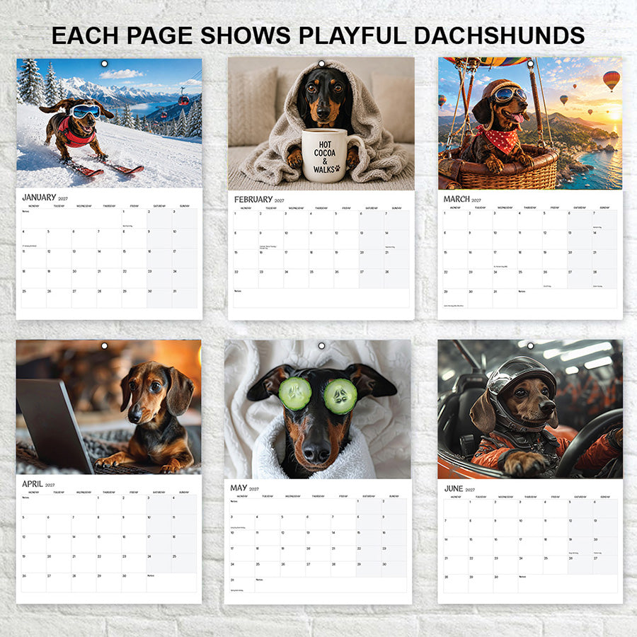 EACH PAGE SHOWS PLAYFUL DACHSHUNDS