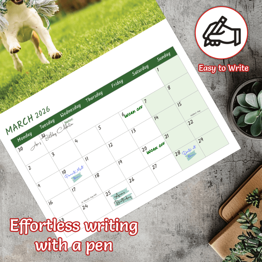 Funny animal wall calendar 2026 A3 for home office decor