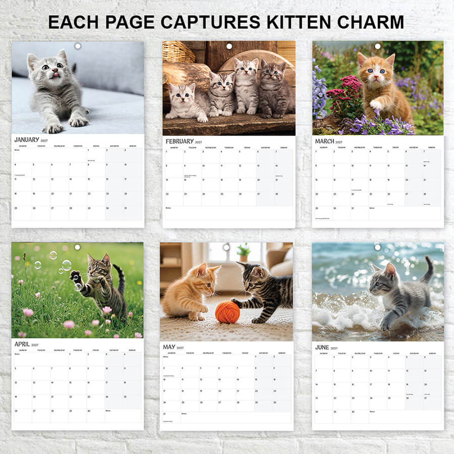 A3 Kittens Calendar 2027 Featuring Cute Kittens