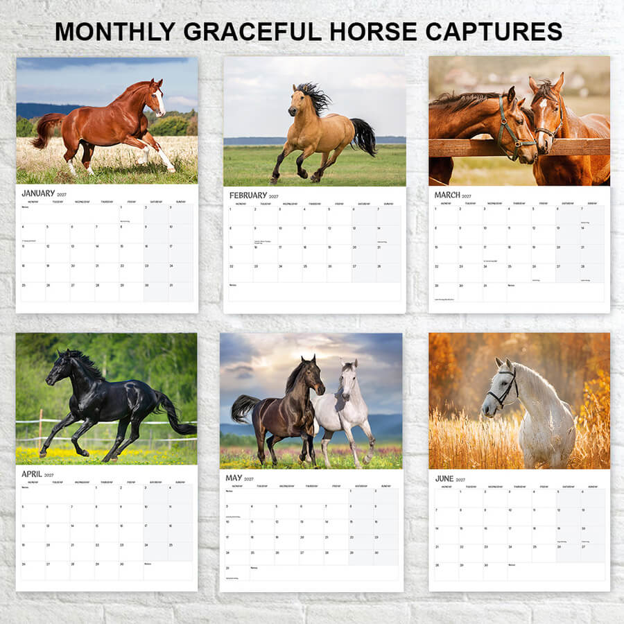 12-Month Horse Calendar 2027