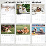 Dog calendars