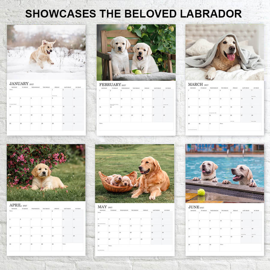 Dog calendars